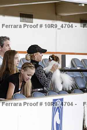 Proof Number 10r9_4704
