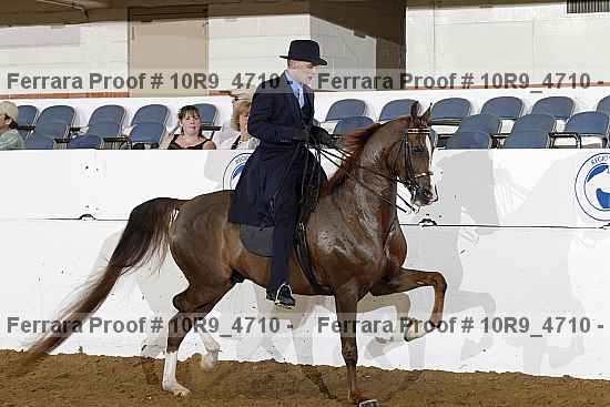 Proof Number 10r9_4710