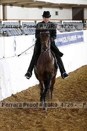 Proof Number 10r9_4726
