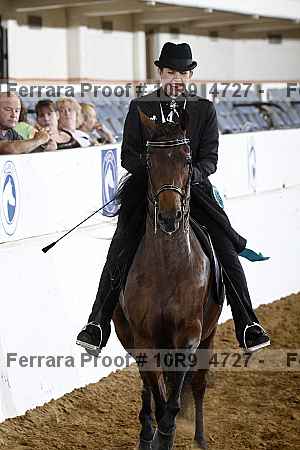 Proof Number 10r9_4727