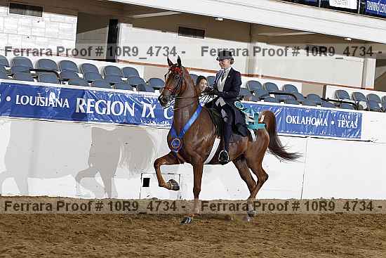 Proof Number 10r9_4734