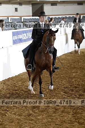 Proof Number 10r9_4749