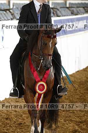 Proof Number 10r9_4757