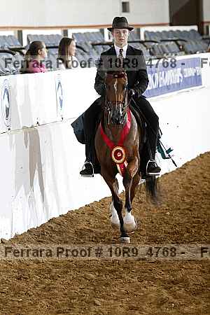 Proof Number 10r9_4768