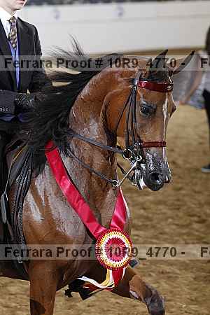 Proof Number 10r9_4770