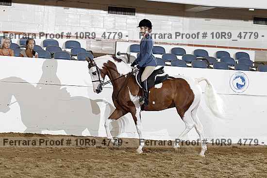 Proof Number 10r9_4779