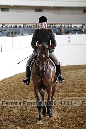 Proof Number 10r9_4783