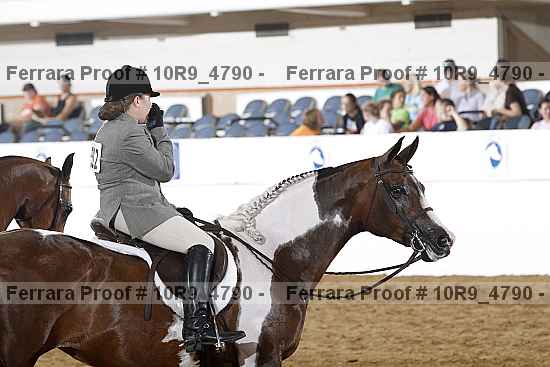 Proof Number 10r9_4790