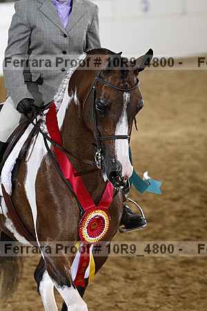 Proof Number 10r9_4800