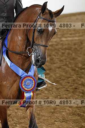 Proof Number 10r9_4803
