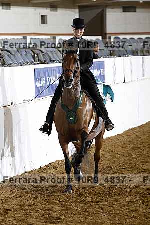 Proof Number 10r9_4837