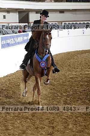 Proof Number 10r9_4843