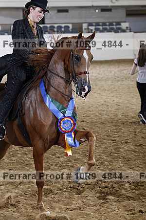 Proof Number 10r9_4844
