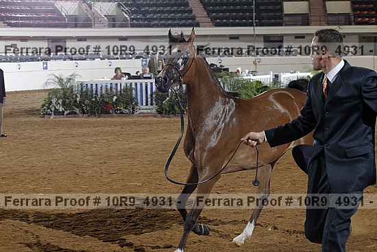 Proof Number 10r9_4931