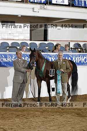 Proof Number 10r9_4934