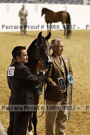 Proof Number 10r9_4937