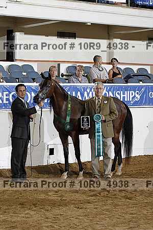 Proof Number 10r9_4938