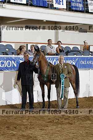 Proof Number 10r9_4940