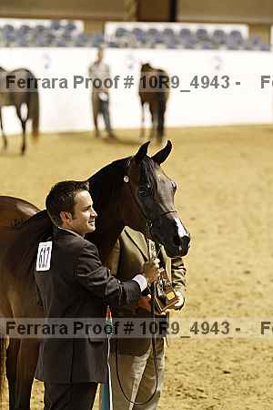 Proof Number 10r9_4943
