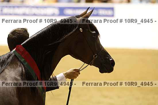 Proof Number 10r9_4945
