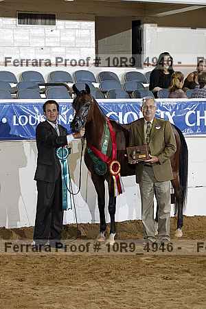 Proof Number 10r9_4946