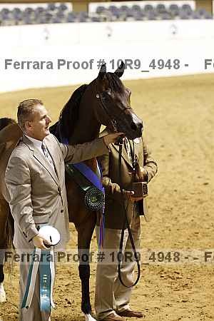 Proof Number 10r9_4948