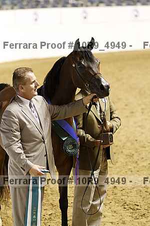 Proof Number 10r9_4949