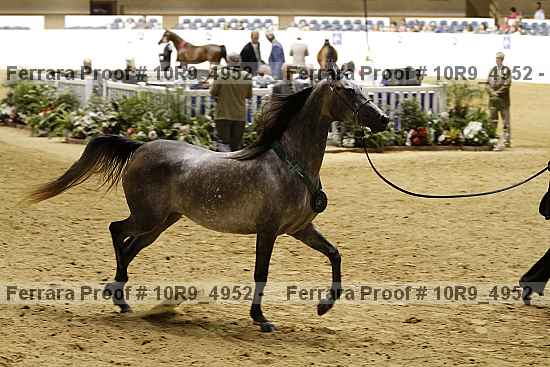 Proof Number 10r9_4952