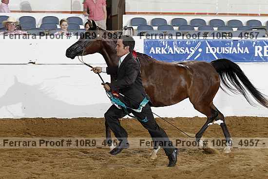 Proof Number 10r9_4957