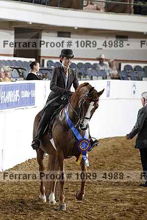 Proof Number 10r9_4988