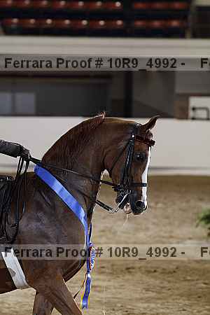 Proof Number 10r9_4992