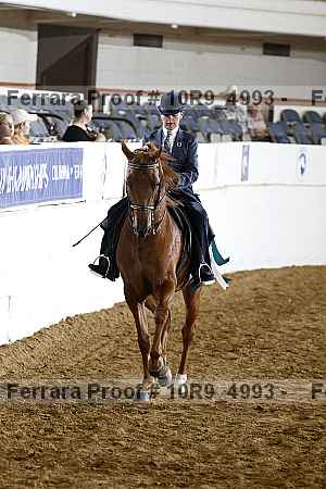 Proof Number 10r9_4993
