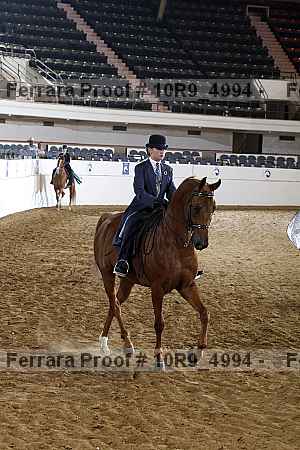 Proof Number 10r9_4994
