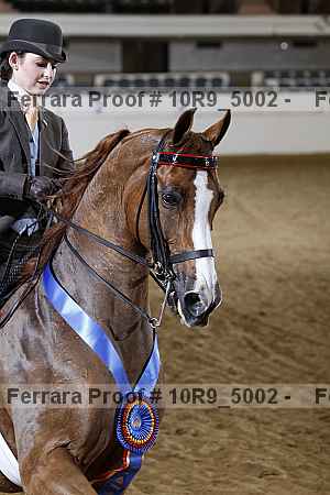 Proof Number 10r9_5002
