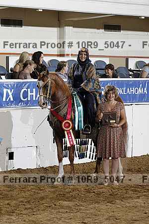 Proof Number 10r9_5047