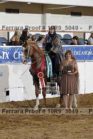 Proof Number 10r9_5049