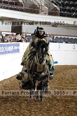 Proof Number 10r9_5055