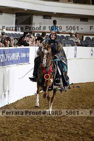 Proof Number 10r9_5061
