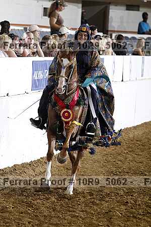 Proof Number 10r9_5062