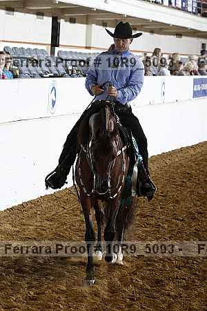 Proof Number 10r9_5093