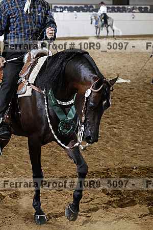 Proof Number 10r9_5097