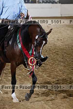 Proof Number 10r9_5101