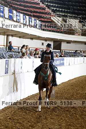 Proof Number 10r9_5138