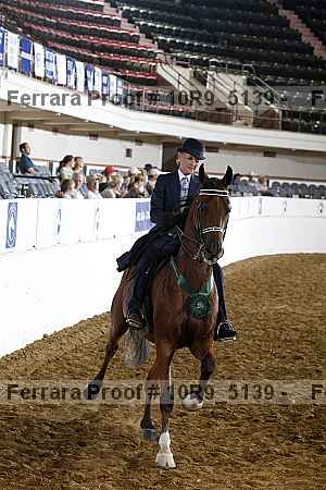 Proof Number 10r9_5139