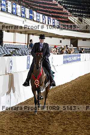 Proof Number 10r9_5143