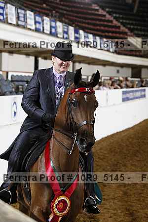 Proof Number 10r9_5145