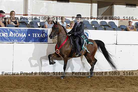 Proof Number 10r9_5146