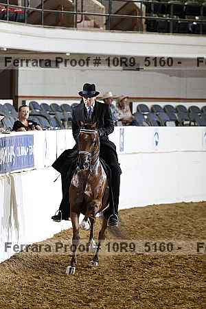 Proof Number 10r9_5160