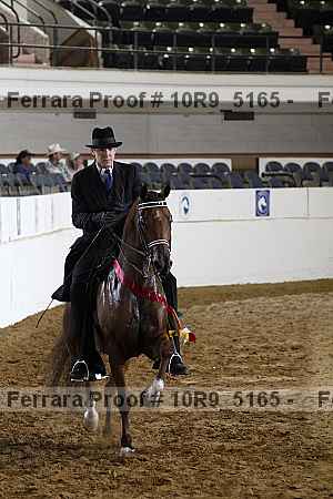 Proof Number 10r9_5165