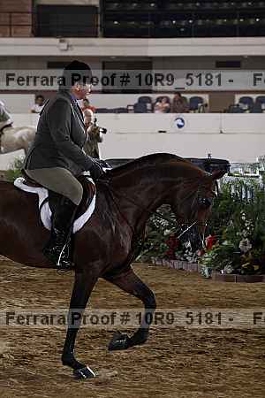 Proof Number 10r9_5181